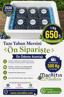 Taze Yaban Mersini (Avantajlı Fiyat Ön Ödemeli Ön Sipariş)  - 2