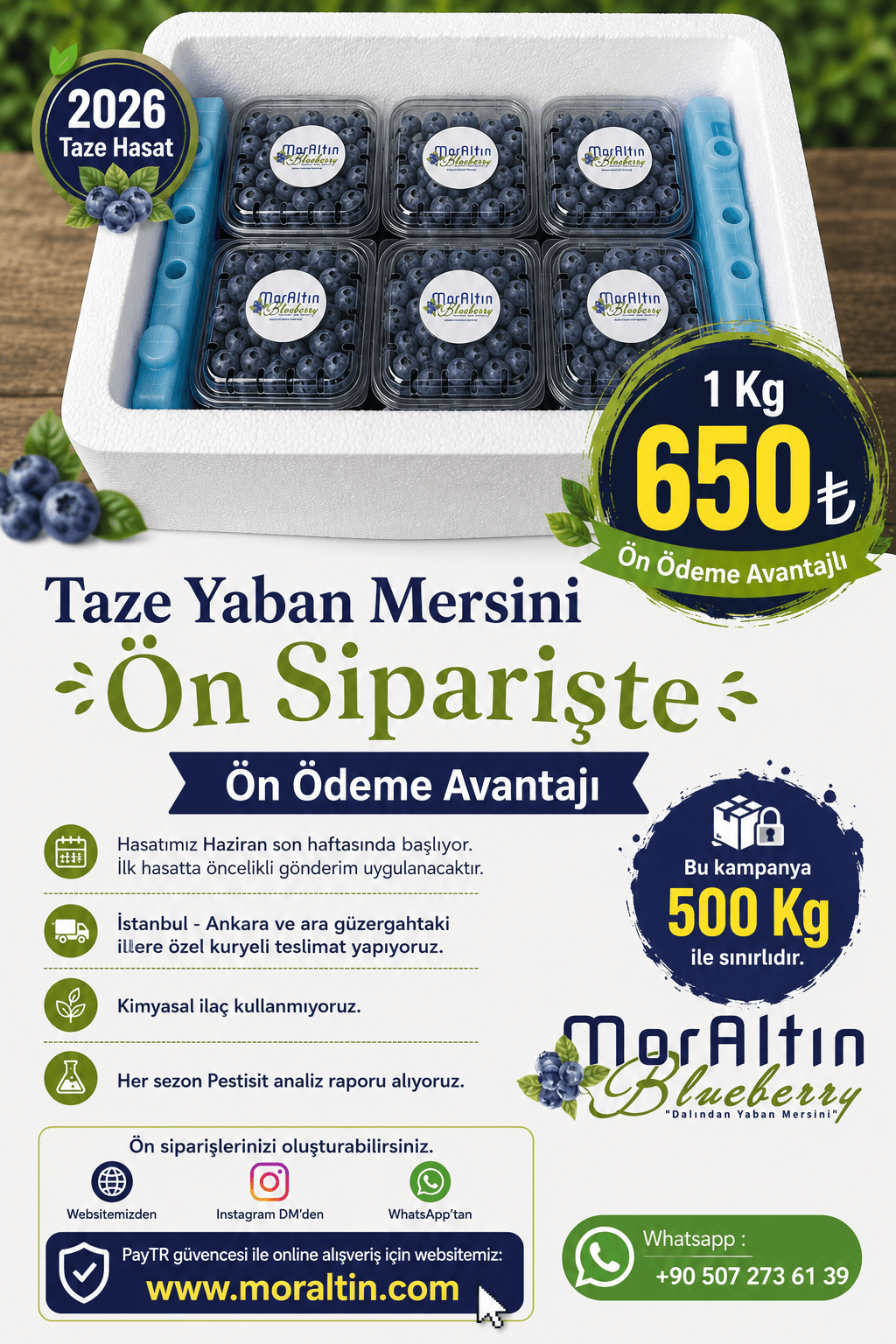 Taze Yaban Mersini (Avantajlı Fiyat Ön Ödemeli Ön Sipariş)  - 2